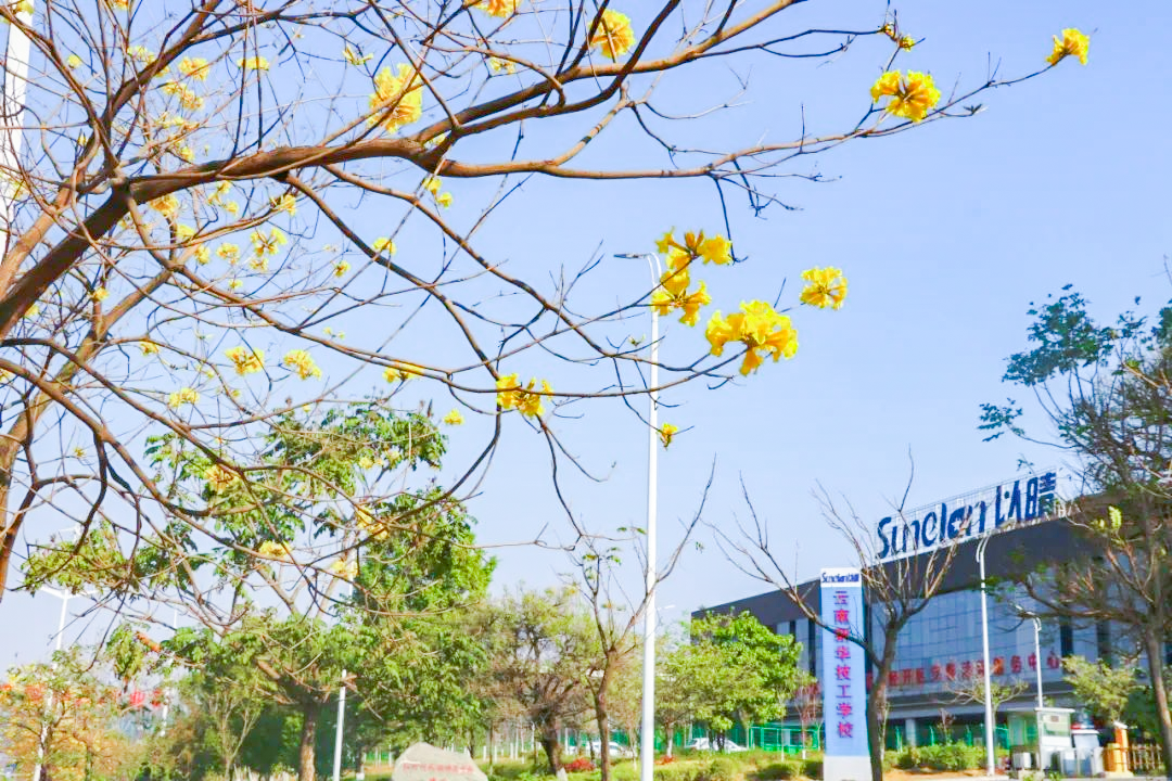 云南昆明新华技工学校