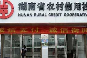 博达路由器 倾力服务湖南农信综合业务网