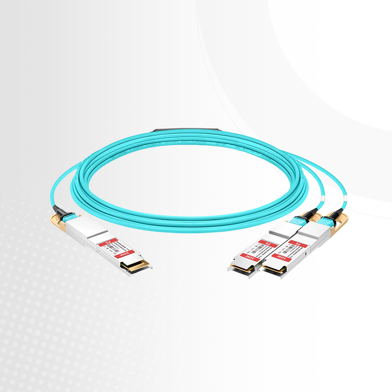 This picture is about QDD-400G-2QAOxxx Breakout AOC Introduction | FS.