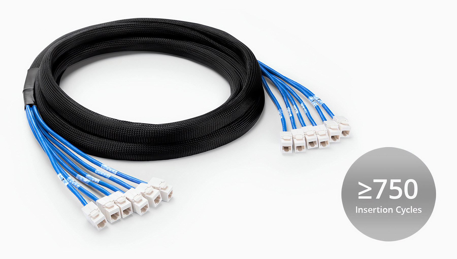5m シールドなし（6ジャック - 6ジャック、PVC CMR、青色） | Cat6準拠