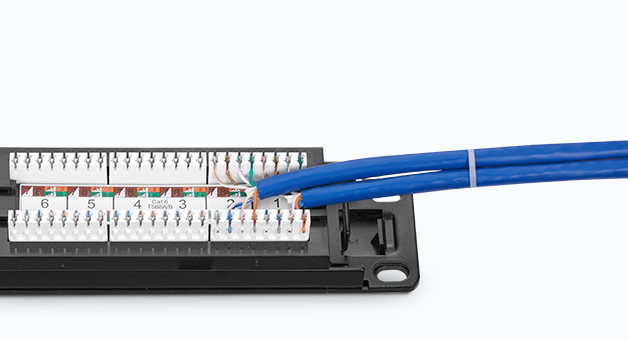 Cat6a 110-Style Unshielded Patch Panel, 24-Port, 1RU, Cable