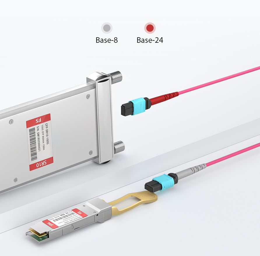 12F MTP®/MPO OM4 Type B Jumper 2m for 40G/100G Cabling - FS.com