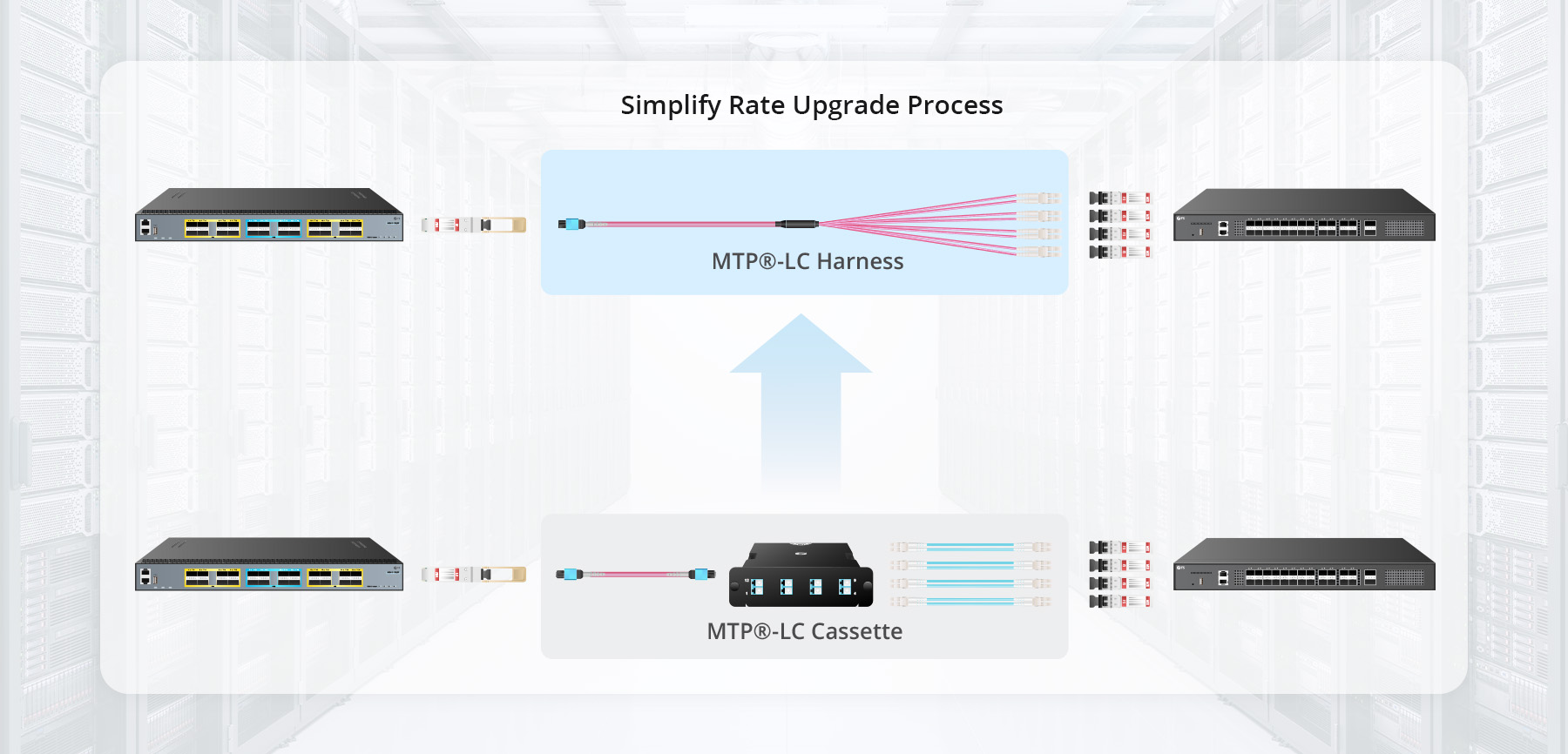 PPP 4枚 1m (3ft) MTP-8 LC OM4 50/125 MTP® Breakout Cable, OFNP - FS.com Europe