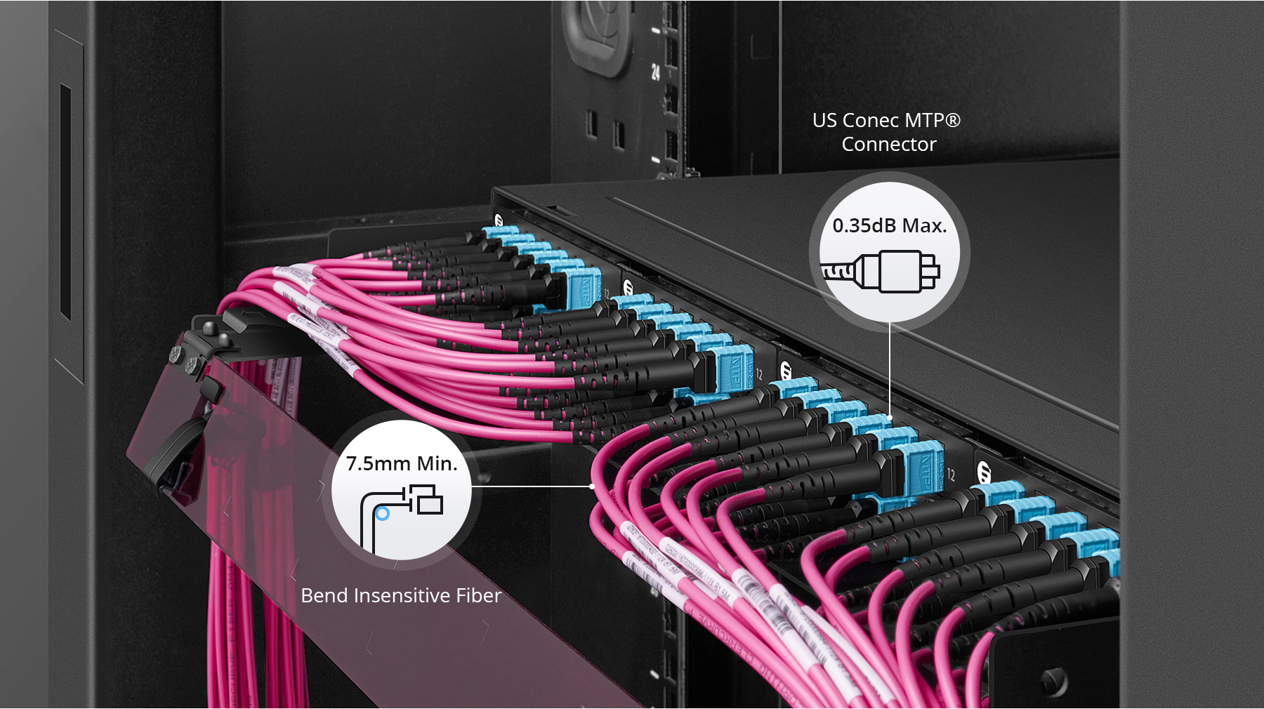 MTP Trunkkabel 1m, 12F MTP Buchse OM4 Kabel, Typ B, Magenta - FS