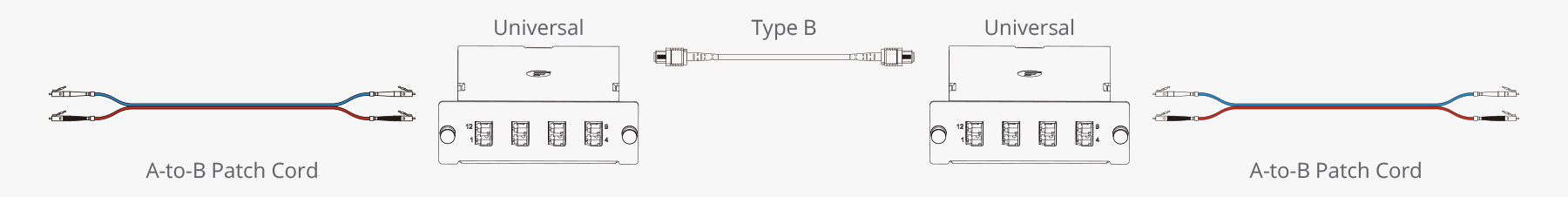 Connectivity Method B for MTP-8 Cassette