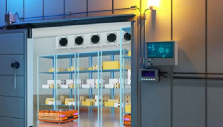 Empowering Fresh Network Connectivity for Fermented Dairy Production