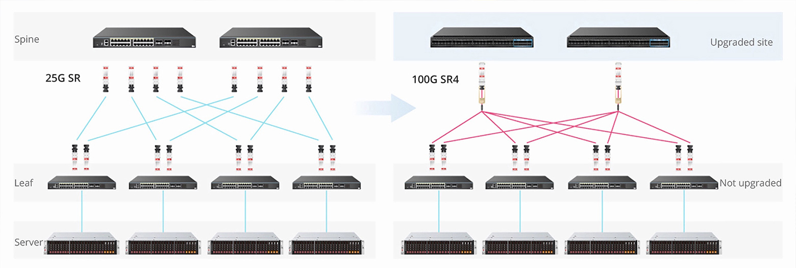 FS SFP28 25G SR Transceiver: Optimizing Enterprise Network Performance