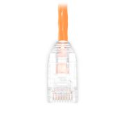 0.9m Cat6六類網絡跳線 24AWG 無卡扣 非屏蔽(UTP) PVC CM,橙色 這張圖片是關於C6UTPSGPVC.
