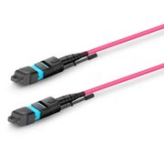  Dieses Bild handelt von .