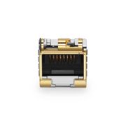 This picture is about SFP-10GM-T-30.