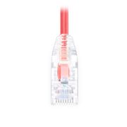 6.1m Cat6六類極細網絡跳線 28AWG 無卡扣 非屏蔽(UTP) PVC CM,紅色 這張圖片是關於C6UTPSGSPVC.