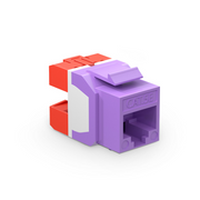 Cat5e RJ45 (8P8C) Unshielded Punch Down Keystone Jack Module, Purple (10 pcs/Pack) This picture is about C5EM-U.