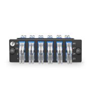 FHD® Fiber Adapter Panel, 48 Fibers OS2 Single Mode, 12 x MDC UPC 2-Port Duplex (Blue) Adapter, Ceramic Sleeve This picture is about FHD-FAP12MDC2PDSMF.