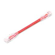 0.15m Cat6六類網絡跳線 24AWG 無卡扣 非屏蔽(UTP) PVC CM,紅色 這張圖片是關於C6UTPSGPVC.