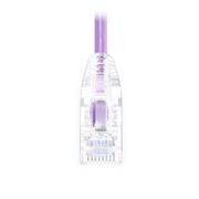 0.3m Cat6六類極細網絡跳線 28AWG 無卡扣 非屏蔽(UTP) PVC CM,紫色 這張圖片是關於C6UTPSGSPVC.
