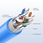 This picture is about 204435-3.