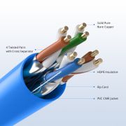 This picture is about 204423-3.