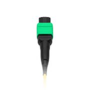 30m (100ft) Cable troncal MTP®, MTP®-12 APC (hembra) a MTP®-12 APC (hembra), 48 Fibras, Monomodo (OS2), Plenum (OFNP), 0.35dB Máx, Tipo B, Doble cubierta, Amarillo Esta imagen trata sobre 48FMTPSMF.