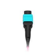 30m (98ft) Cable troncal MTP®, MTP®-12 UPC (Hembra) a MTP®-12 UPC (Hembra), 48 Fibras, Multimodo (OM4), Plenum (OFNP), 0.25dB Máx, Tipo A, Doble chaqueta, Magenta Esta imagen trata sobre 48FMTPOM4.