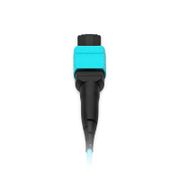 30m (100ft) Cable troncal MTP®, MTP®-12 UPC (hembra) a MTP®-12 UPC (hembra), 48 Fibras, Multimodo (OM3), Plenum (OFNP), 0.25dB Máx, Tipo B, Doble cubierta, Aqua Esta imagen trata sobre 48FMTPOM3.