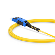 This picture is about  .