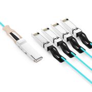 This picture is about ed.