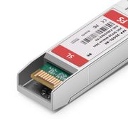 This picture is about Brocade.