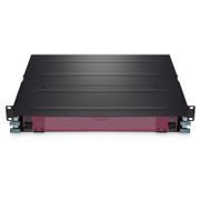  Dieses Bild handelt von 238177-3.