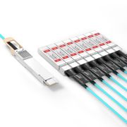 70m (230ft) Generic Compatible 400G QSFP-DD to 8 x 50G SFP56 Active Optical Breakout Cable This picture is about https://resource.fs.com/mall/70m-%E5%A4%9A%E5%9B%BE3.jpg.