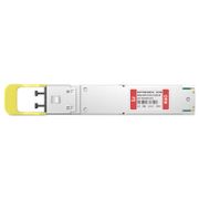  Dieses Bild handelt von OSFP-DR8L-800G-FL.