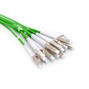 LSA➕NC❷ カスタム 24芯 OM5マルチモード LC/SC/FC/ST/LSH/終端なし 屋内用多芯