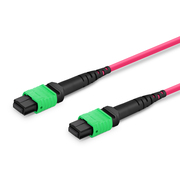 2m (7ft) MTP® Jumper, MTP®-16 APC (Female) to MTP®-16 APC (Female), 16 Fibers, Multimode (OM4), Plenum (OFNP), 0.35dB Max, Crossover, Magenta This picture is about .