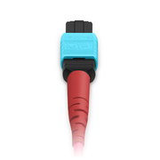 10m (33ft) MTP® Jumper, MTP®-24 UPC (Female) to MTP®-24 UPC (Female), 24 Fibers, Multimode (OM4), Plenum (OFNP), 0.35dB Max, Type A, Magenta This picture is about 24FMTPOM4.