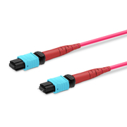 10m (33ft) MTP® Jumper, MTP®-24 UPC (Female) to MTP®-24 UPC (Female), 24 Fibers, Multimode (OM4), Plenum (OFNP), 0.35dB Max, Type A, Magenta This picture is about 24FMTPOM4.