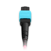 10m (33ft) MTP® Trunk Cable, MTP®-12 UPC (Male) to MTP®-12 UPC (Male), 48 Fibers (4x 12F), Multimode (OM4), Plenum (OFNP), 0.35dB Max, Type B, Braided Tubing, Magenta This picture is about 48FMTPOM4.