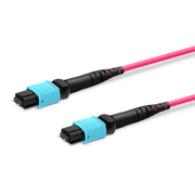 10m (33ft) MTP® Trunk Cable, MTP®-12 UPC (Male) to MTP®-12 UPC (Male), 48 Fibers (4x 12F), Multimode (OM4), Plenum (OFNP), 0.35dB Max, Type B, Braided Tubing, Magenta This picture is about 48FMTPOM4.