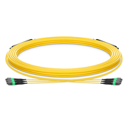 30m(98ft) MTP®-12 UPC(メス) to MTP®-12 UPC(メス) MTP®トランク