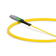 This picture is about  .