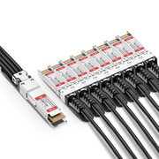 0.5m (2ft) NVIDIA/Mellanox Compatible 200G QSFP-DD to 8 x 25G SFP28 Ethernet Passive Direct Attach Copper Breakout Cable This picture is about 1.