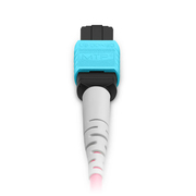 1м (3фут) MTP® шлейф, MTP®-8 UPC (гнездо) на 4 x LC UPC дуплекс, 8 волокон, многомодовый (OM4), для помещений (OFNP), макс. 0,35дБ, тип B, пурпурный Это изображение касается 8FMTPLCOM4.