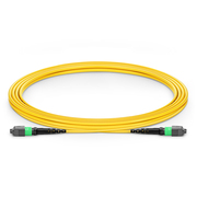 3m (10ft) MTP® Jumper, MTP®-12 APC (Female) to MTP®-12 APC (Female), 12 Fibers, Single Mode (OS2), Plenum (OFNP), 0.35dB Max, Type B, Yellow This picture is about .