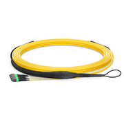 This picture is about  .