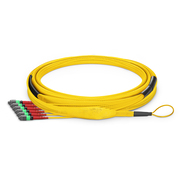 This picture is about  .