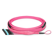 This picture is about  .