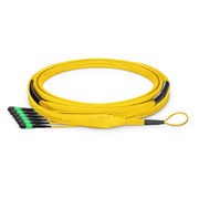 This picture is about  .