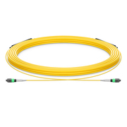 30m (98ft) MTP® Trunk Cable, MTP®-8 APC (Male) to MTP®-8 APC (Male
