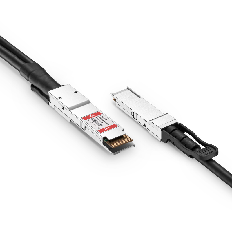 Customized 200G QSFP-DD to 2x100G QSFP28 Passive Direct Attach Copper Breakout Cable