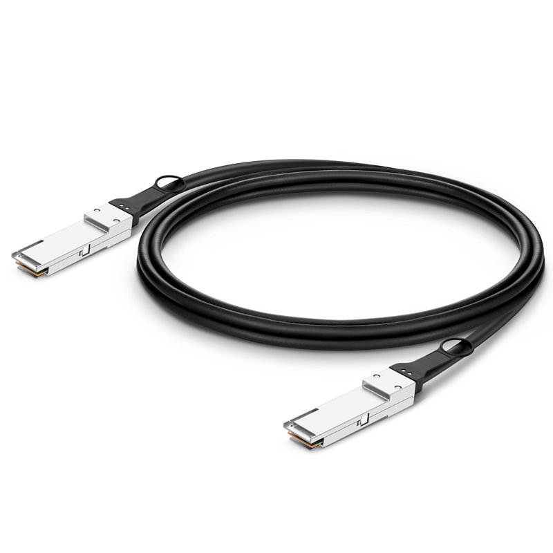 3m (10ft) 200G QSFP56 Passive Direct Attach Copper Twinax Cable for FS Switches This picture is about 5.