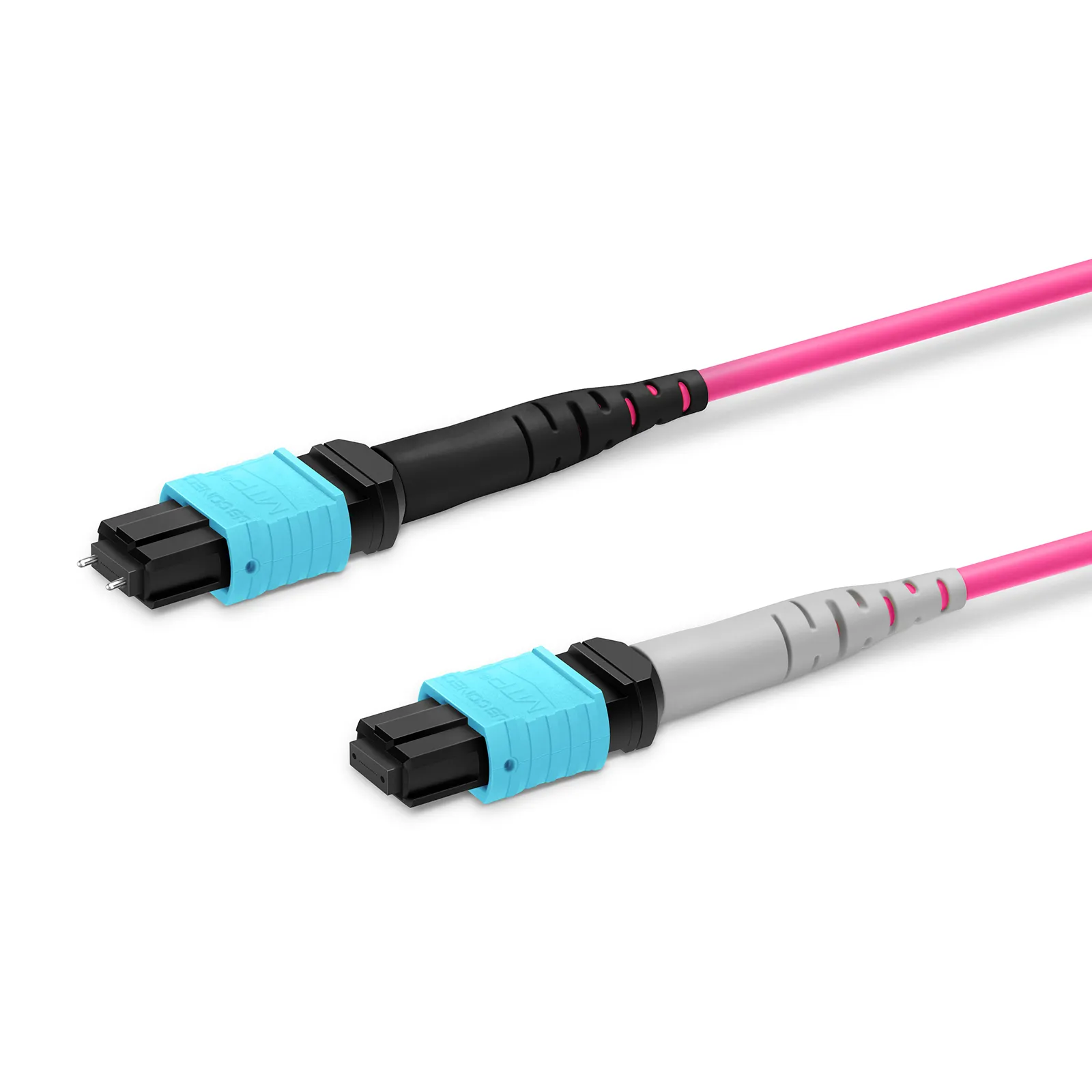 3m (10ft) MTP® Breakout Cable, 2 x MTP®-12 UPC (Male) to 3 x MTP®-8 UPC (Female), 24 Fibers, Multimode (OM4), Plenum (OFNP), 0.35dB Max, Type A