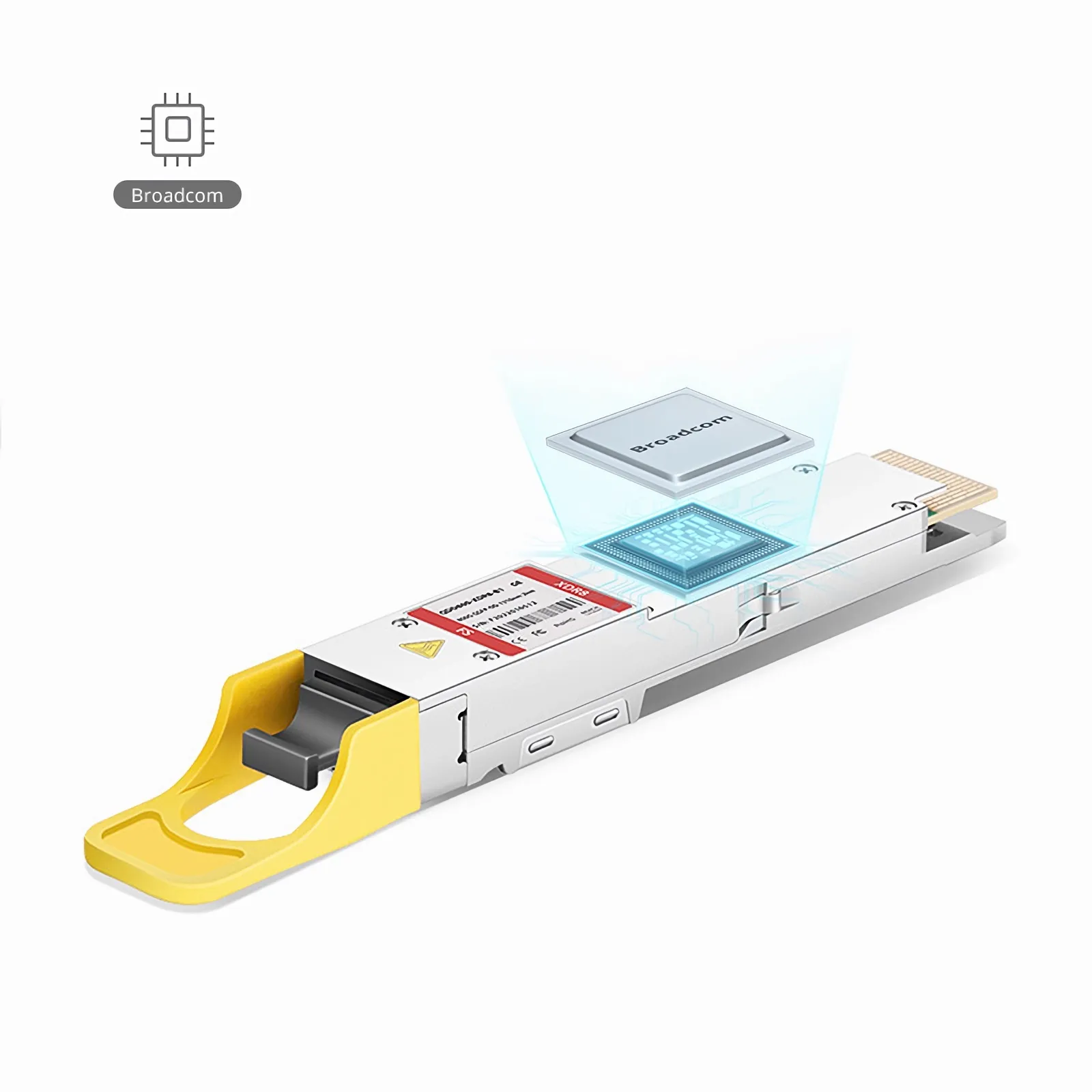 Questa immagine riguarda 1.